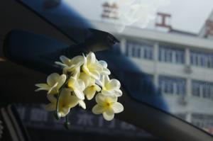Car Rear View Mirror Hanging, Car Decoration with Flower and Perfume