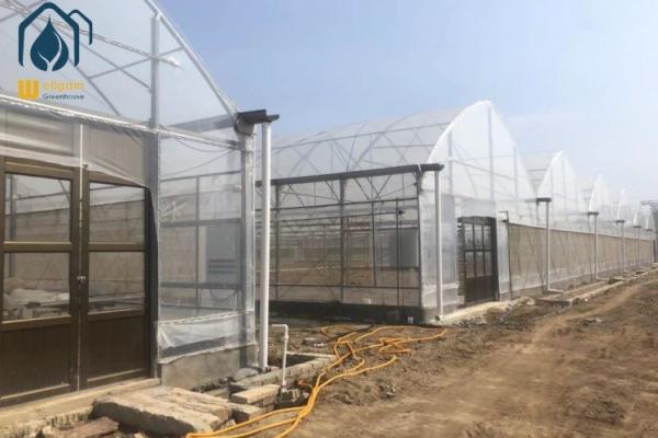 Quality Easy Installation Multi Span Horticulture Greenhouse For Year Round Cultivation for sale