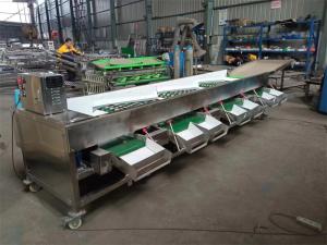 China tomatoes grading machine, tomatoes sorting machine, tomato grader sorter wholesale