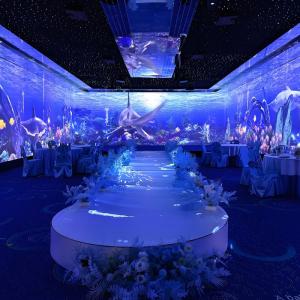 China Multi Projection 3D Interactive Immersive Projector Holographic Projection wholesale