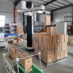 High Capacity Palletizing Robot for 4-5 Axis Articulated Robot Up To 800 Bags