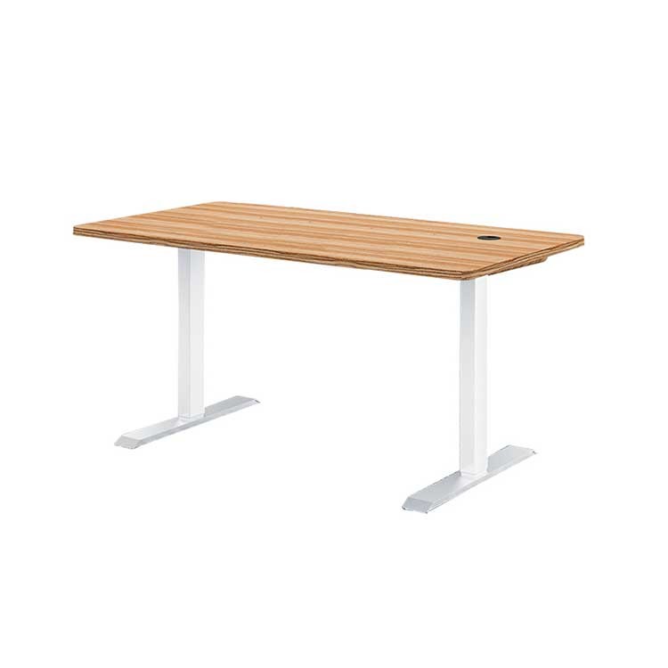 25mm Office Height Adjustable Desk Wooden Electric Standing Desk