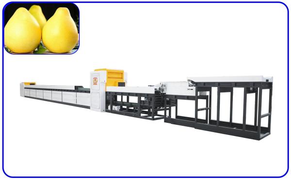 Quality 380V Automatic Fruit Sorting And Grading Machine for sale