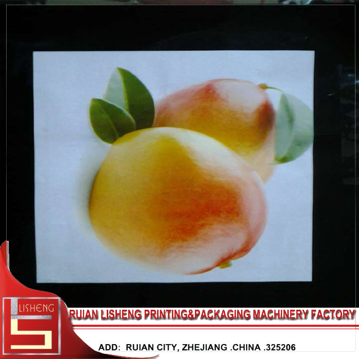 1 - 8 Color Small Rotogravure Printing Machine For Rolled Plastic