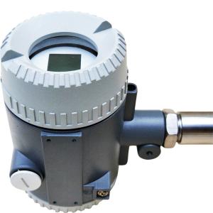 Electromagnetic Digital Flow Meter , Variable Area 50mm Water Flow Meter