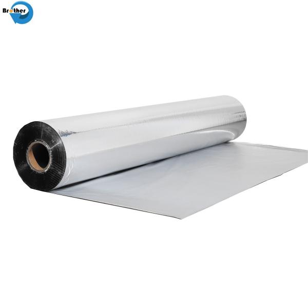 Quality Silver Metallized BOPP/CPP/Pet Film Aluminum Foil for Food Packing Candy Twist Film for sale