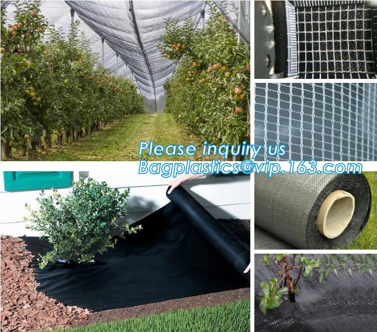 100% new HDPE insect mesh / anti bird net for apple trees,greenhouse anti insect net for plant, agriculture net Anti-ins