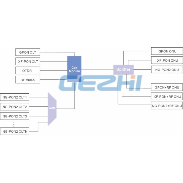 Dual Fiber Coexistence Element CEx Module Filter WDM