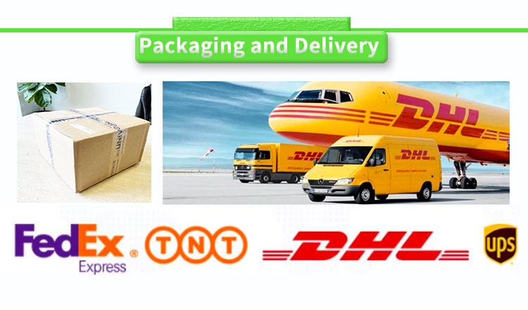 UNIVO UBHL-XY Hydrogen Concentration and Leakage Sensors for Fuel Vehicle Refueling Station