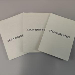 Custom Design Folded Instruction Booklet Different User Manual Printing