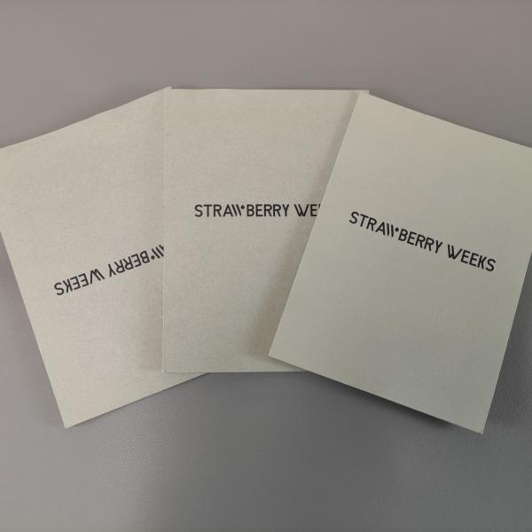 Quality Custom Design Folded Instruction Booklet Different User Manual Printing for sale