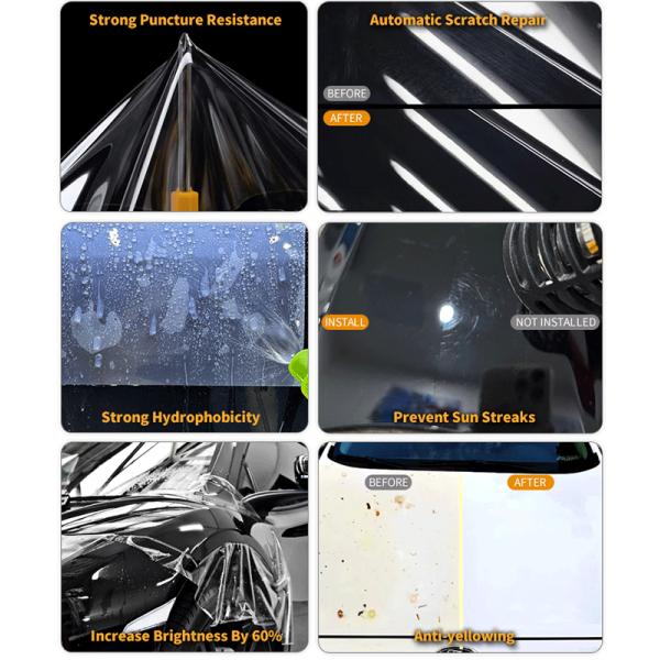 High Gloss Self Healing PPF Film Car Paint Protective Film TPU Paint Protection Film