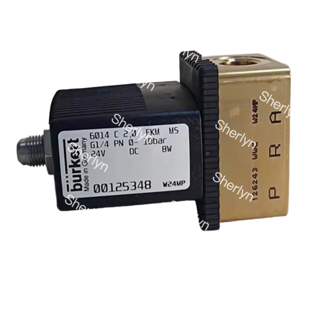 G3/4 Brass Solenoid Valve 00221657 Burkert AC220V