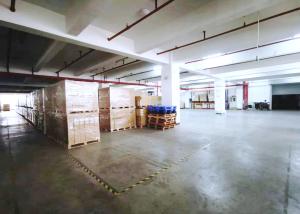 LCL FCL International China Freight Forwarder Transit Trade Logistics