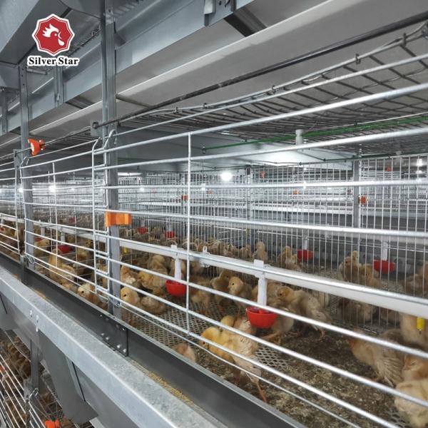 Quality Hot Galvanized Battery Chicken Cage For Broiler 17 Chicks / Cell for sale