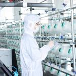 Polyester Polyamide Cleaning Wipe Roll Microfiber LCD Cleaning Cloth Customizati