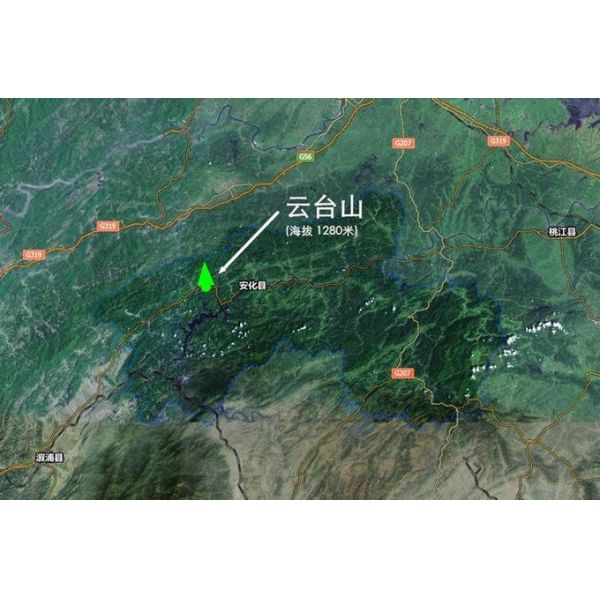 Beauty Slim Hunan Dark Tea Weight Loss Anhua Black Tea In Bulk