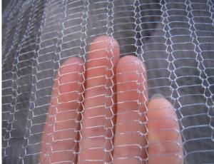 China Metal Knitted Wire Mesh Filter Double Wire Weaving Precision Width 400mm SS316L Customized wholesale