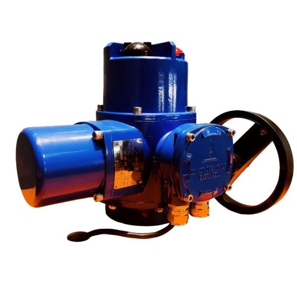 Quality Intelligent Electric Part Turn Actuator Explosion Proof 3000NM for sale
