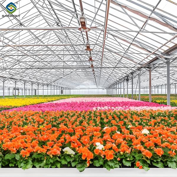 Toughened Clear Glass Flower Greenhouse Customized With Automatic Systems