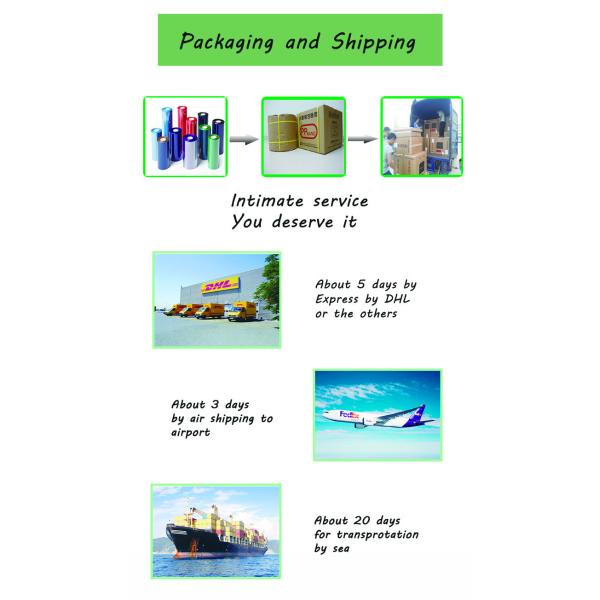 PVC Self Adhesive Mailing Labels