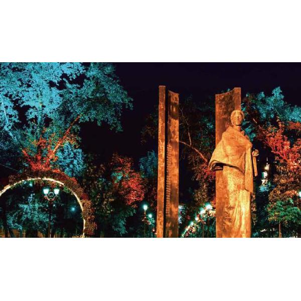 264VAC 2000LM Garden LED Flood Lights DMX512 LED Garden Spotlights With Visor