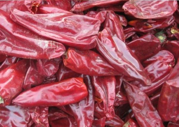 Quality Stemless Dried Guajillo Chile Peppers Heb Block Shape Without Stem for sale
