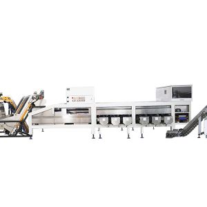 Auto Walnut Shelling Machine With Kernel Shell Separation