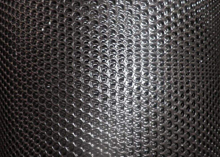 4.5mm 400g Sqm High Density Polyethylene Netting