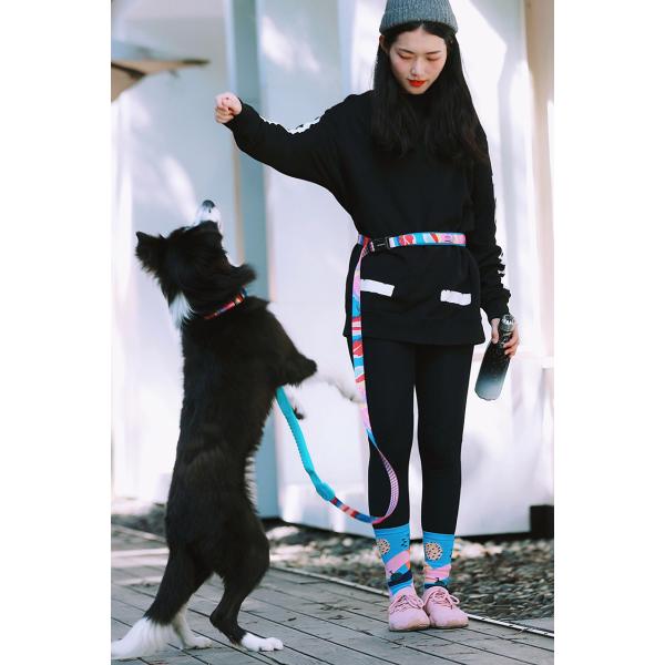 Multifunctional Adjustable Polyester Dog Leash Handsfree Bungee Dog Leash