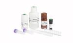 SpermFunc Kits / Solid Phase BAPNA Method For Spermatozoa Acrosin Activity