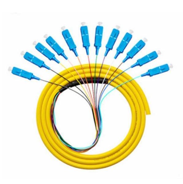 Quality Sc APC Upc Fiber Optic Pigtail 12 Cord Fibers Bunch Pigtail Multimode Single Mode for sale