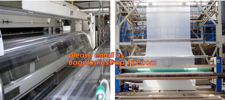 HOTICULTURAL MULCH FILM,AGRICULTURAL PE FILM,MARKET GARDENERS CLOCHE FILM,PE FILM FOR CORN,PLASTIC FILM COVER,TOMATO COV