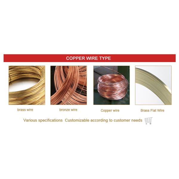 Golden 99.95% Copper Products C1100 C1200 C1020 C5191 Pure Copper Coil