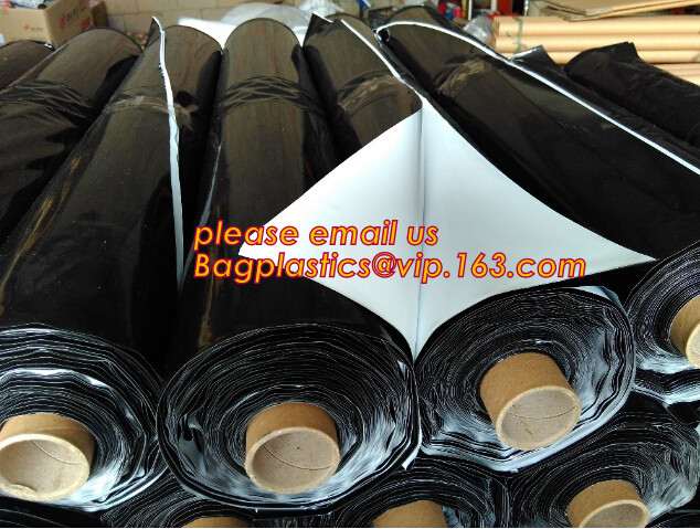 HOTICULTURAL MULCH FILM,AGRICULTURAL PE FILM,MARKET GARDENERS CLOCHE FILM,PE FILM FOR CORN,PLASTIC FILM COVER,TOMATO COV