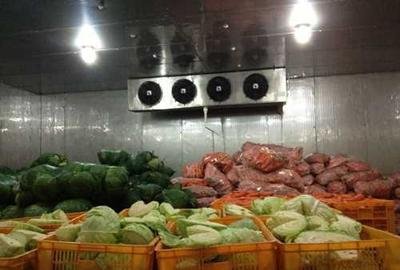 Fish Cold Room Freezer Room walk in chiller rooms
