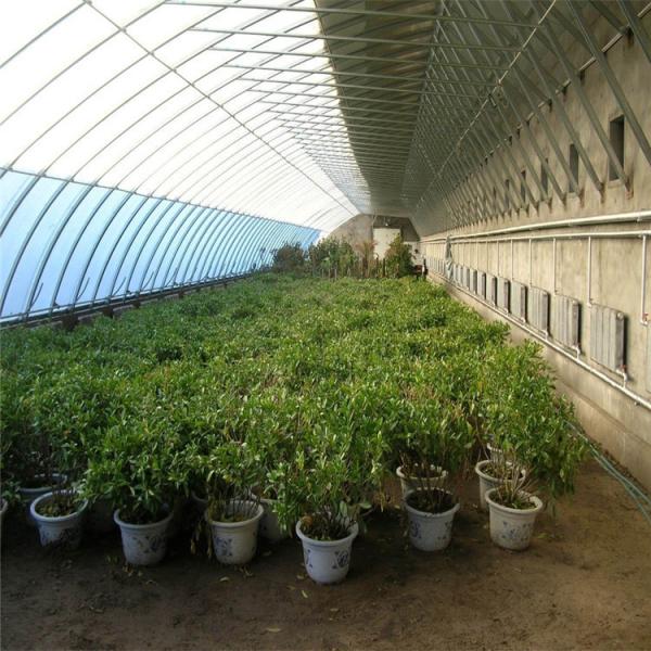 Quality High Insulation Garden Greenhouse With Customized Temperature Control And Size for sale