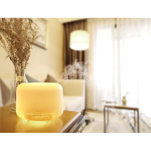 HOMEFISH Ultrasonic Aroma Humidifier Diffuser Humidistat DC 24V 0.5A