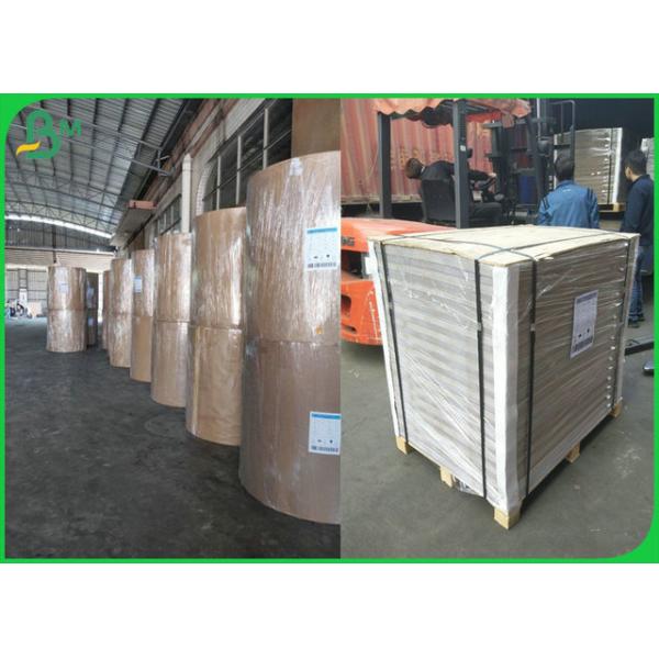 High tear strength  940 x 1280mm 400gsm Kraft Back Duplex Board For Beer Carton Making 