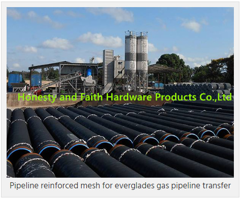 5 Rolls Per Bundle Galvanized Reinforcement Welded Mesh Oil And Gas Pipeline Use