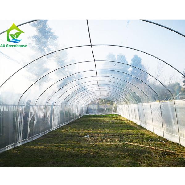 Quality Agricultural Polytunnel Commercial Hydroponic Greenhouse For Mushroom Cultivation for sale