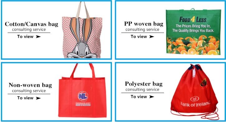 Lunch bag, bottle bag, food package, Big size Non woven bag 100 gsm, Non woven bags manufacturer philippines/india/kolka