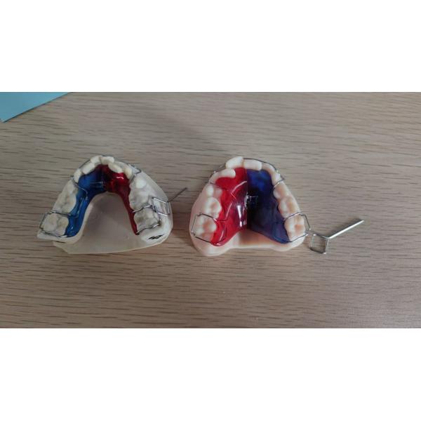 Stainless Steel Acrylic Screw Expander Orthodontic Treatment Removable