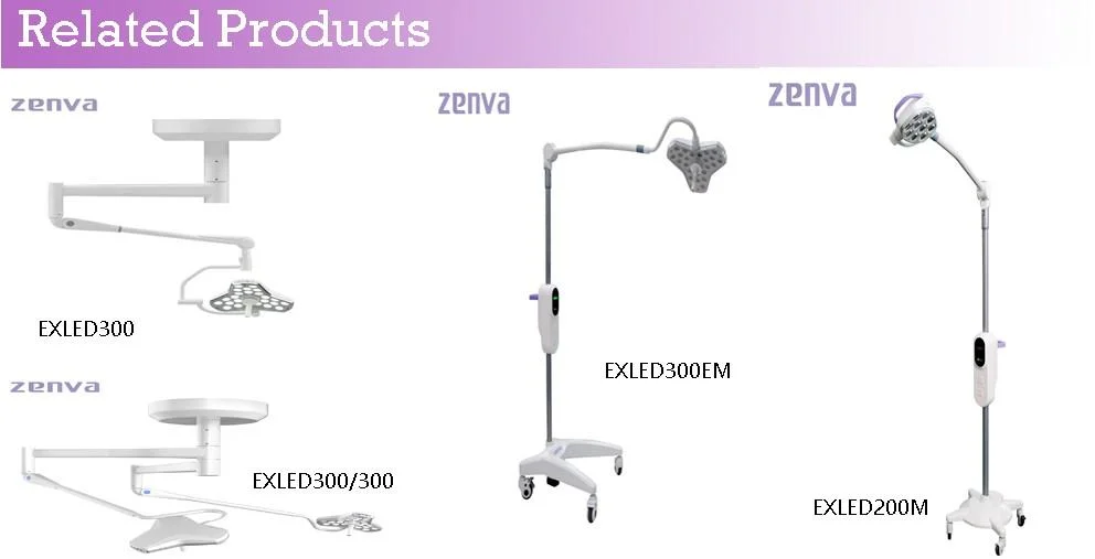 Double Arm LED Surgical Shadowless Lamp 5000K Double Dome