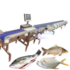 China Fully Automatic Fish Weight Sorting Machine Food Conveyor Weighing Scale wholesale