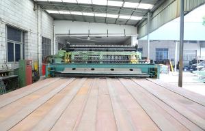 Hexagonal Wire Mesh Gabion Production Line PLC Control CE Certificate