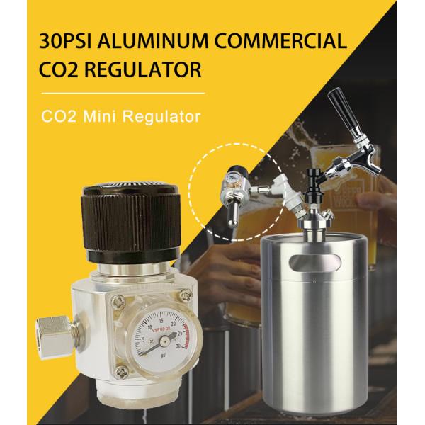 Portable Aluminum Compact CO2 Regulator 60PSI For Carbonation