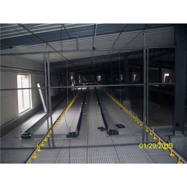Automatic Galvanized Chicken Farm Equipment 1.5kgs/M Chain Feeding System