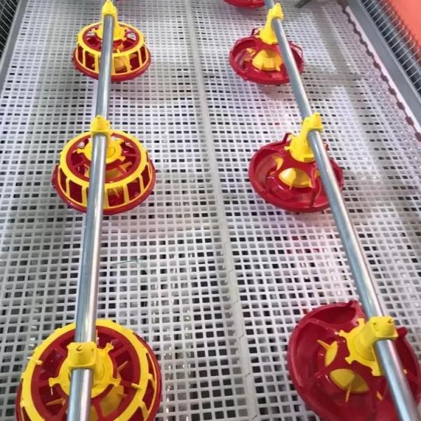 Quality Galvanized Pipe Poultry Farming Machine 10 Years Life Span for sale
