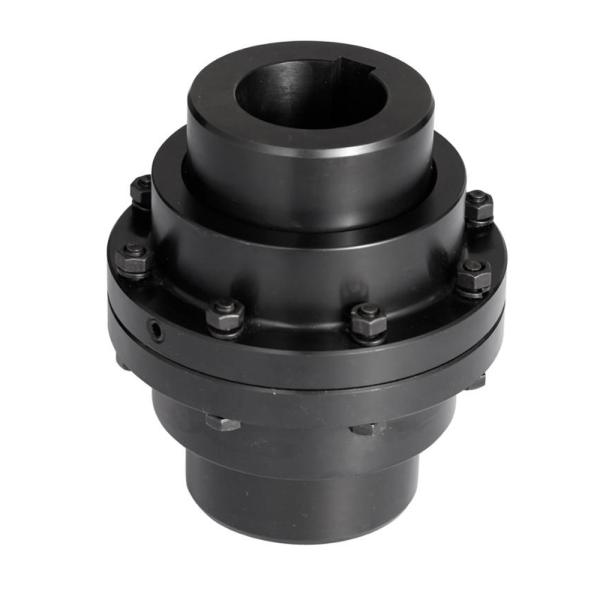 Customized GICLZ Type Shaft Customized GICLZ Type Quick Installation